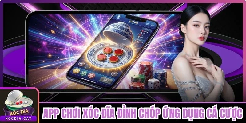 App Chơi Xóc Đĩa Đỉnh Chóp - Ứng Dụng Cá Cược Hàng Đầu