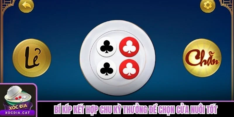 Bí kíp kết hợp chu kỳ thưởng để chọn cửa nuôi tốt