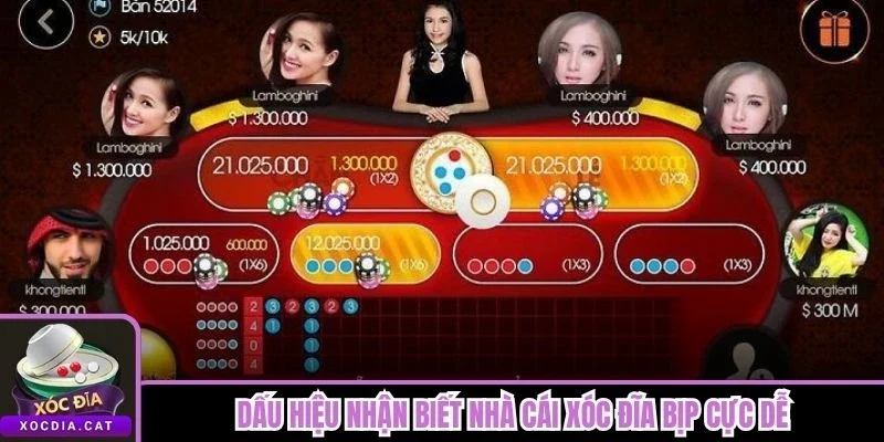 Dấu hiệu nhận biết nhà cái xóc đĩa bịp cực dễ