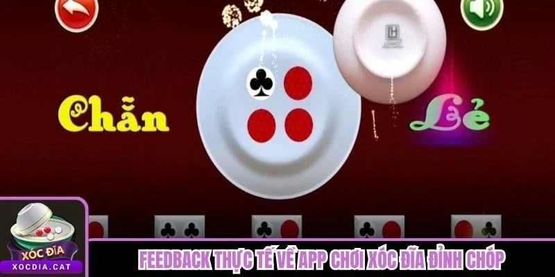 Feedback thực tế về app chơi xóc đĩa đỉnh chóp