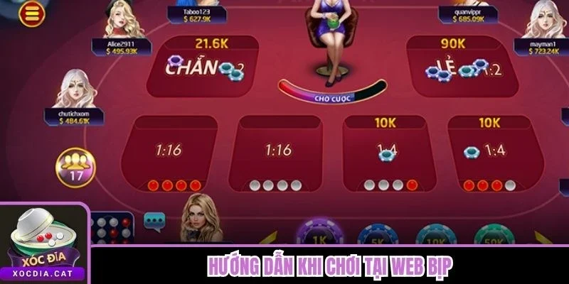Hướng dẫn khi chơi tại web bịp