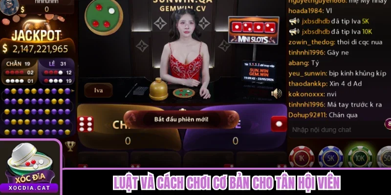 Luật và cách chơi cơ bản cho tân hội viên