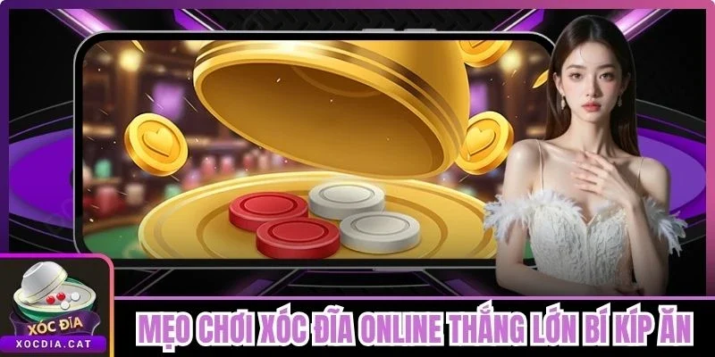 Mẹo Chơi Xóc Đĩa Online Thắng Lớn - Bí Kíp Ăn Trọn Thưởng