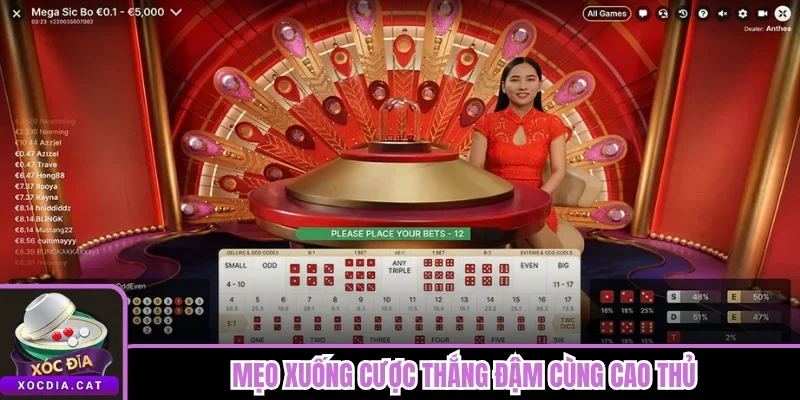 Mẹo xuống cược thắng đậm cùng cao thủ